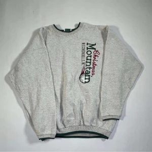 Grå Wisconsin sweatshirt - Grå sweatshirt med gröna detaljer och resår. Sitter skönt oversized på mig som är M, egentlig storlek kanske är L. I fint skick, minimal fläck på höger ärm. 