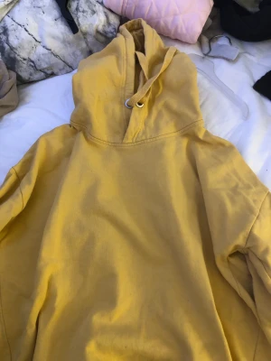 Hoodie  - Kommer inte till användning 