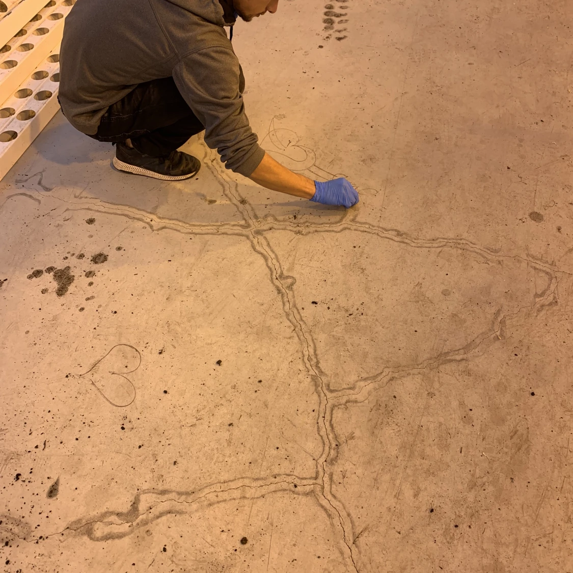 Bape Shark hoodie  - 92