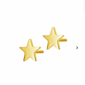 Örhängen  - Super fina örhängen från Edblad som nästan aldrig använts