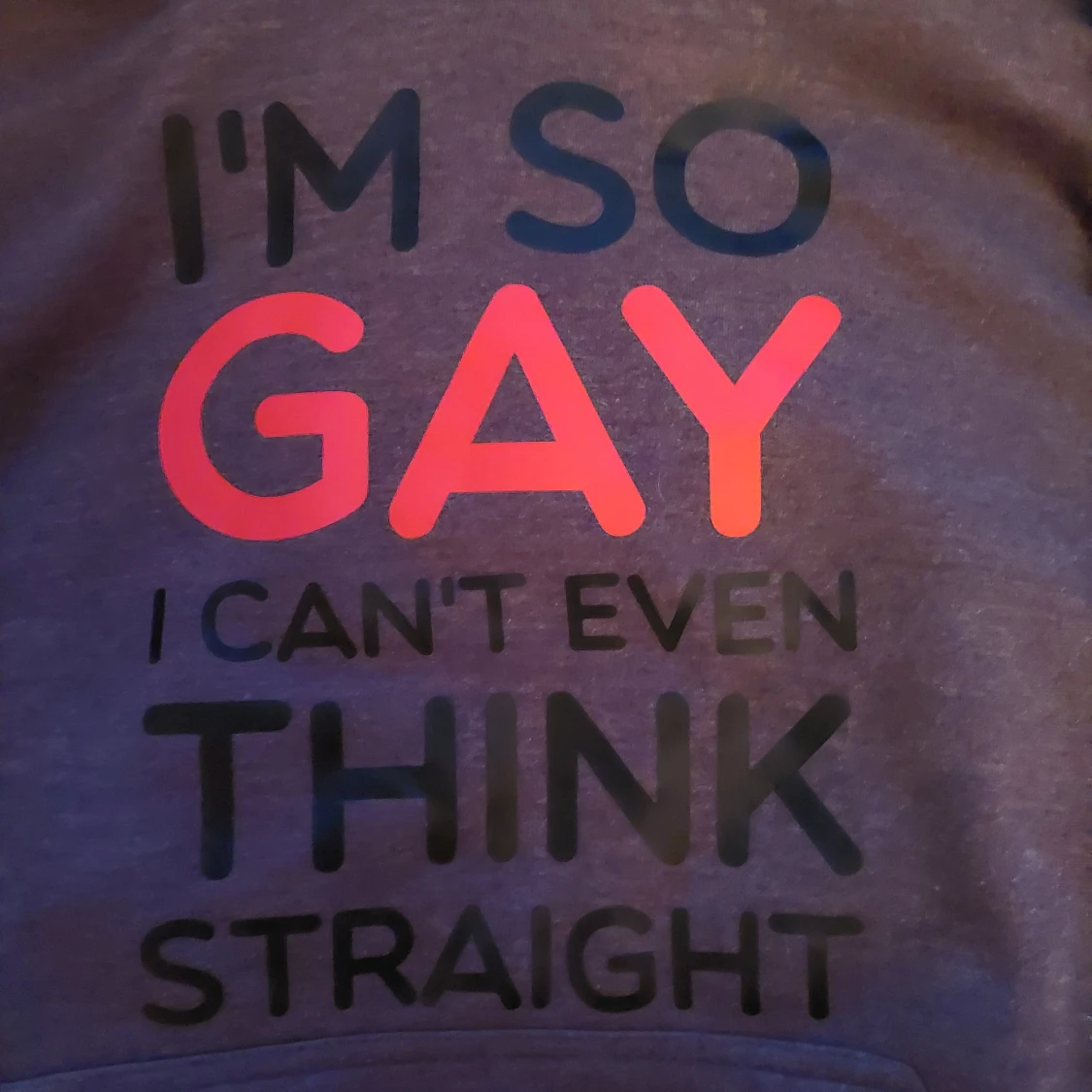 Im so gay - hoodie - 91
