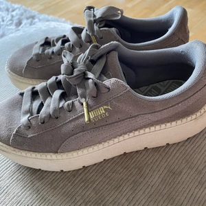 Puma skor  - Puma gråa suede skor med guld detaljer till salu då dom är för små för mig. Storlek 37,5 bra skick.