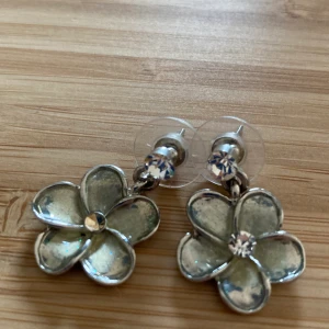 Örhängen  - Jätte gulliga örhängen 