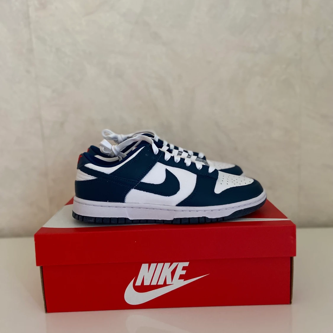 Nike Dunk Low Valerian Blue  - 90