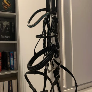 Träns med Aachennosgrimma - Ett träns med aachennosgrimma från hööks. Knappt använt och i bra skick. Ponny storlek. Allt på bild ingår. Priset går att diskutera, men kör man orginalpris ingår frakt.