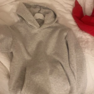 Zara hoodie  - Säljer denna fina hoodie från zara som knappt är använd, från herravdelningen 