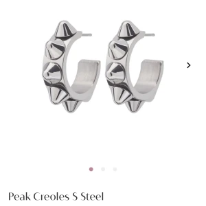 Edblad smycken silver!  - Säljer nu dessa örhängena plus ringen. Paret är köpt för 748kr på edblads hemsida. Smyckena är i mycket bra skick, kontakta för mer info💝