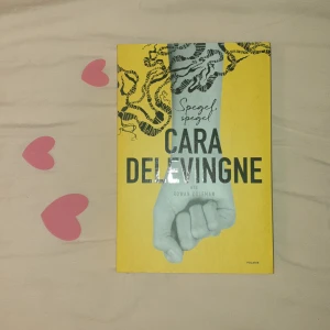 Spegel spegel - Cara delevinge