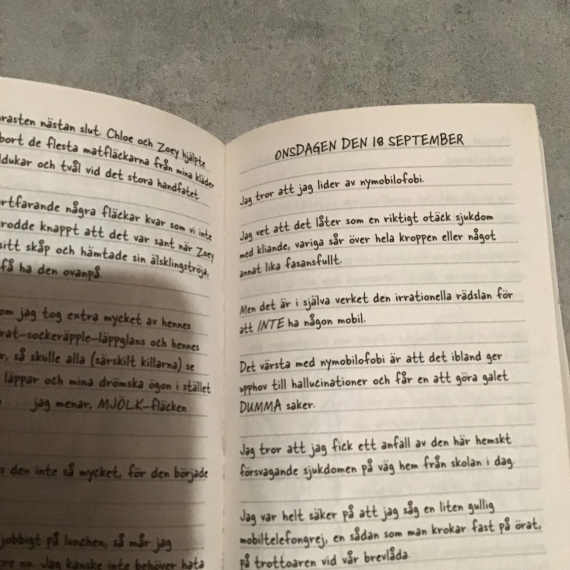 Nikkis dagbok (1an) - 91