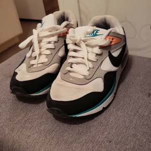 Nike skor - Nike skor 