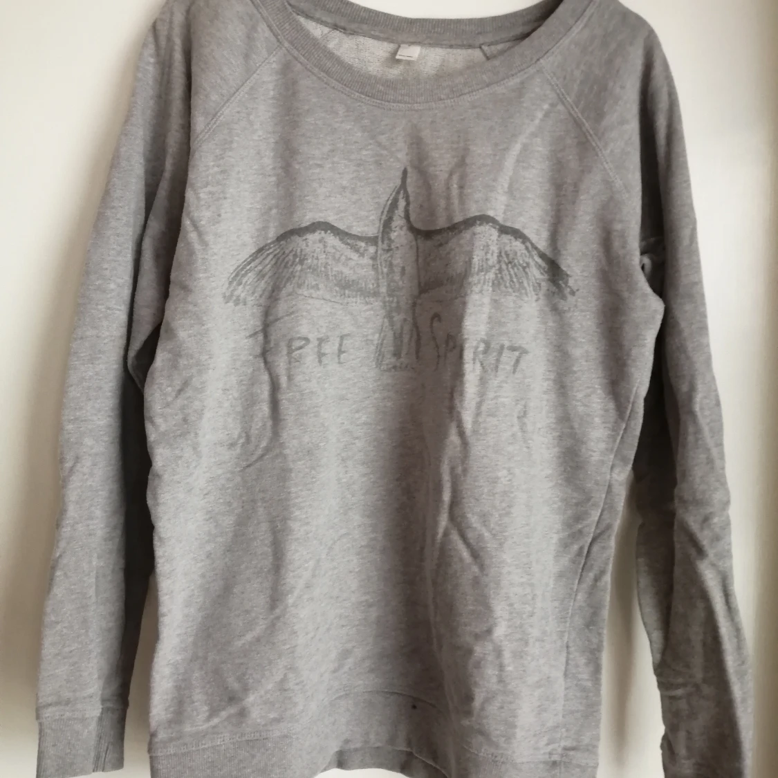 Grå tröja med tryck