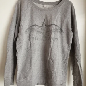 Grå tröja med tryck - Utan luva. Bud ges. Kontant mottages.