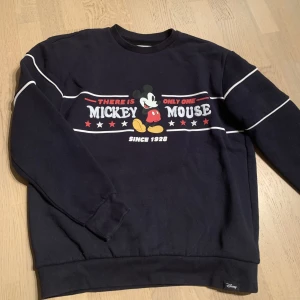 Collegetröja - Mysig collegetröja från Pull&Bear i herrstorlek S. Säljes då den aldrig används, använd fåtal gånger! Ser svart ut men skulle säga den är väldigt mörkt blå.