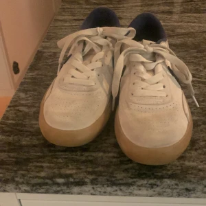 Nike sneakers - Nike skateskor knappt använda.