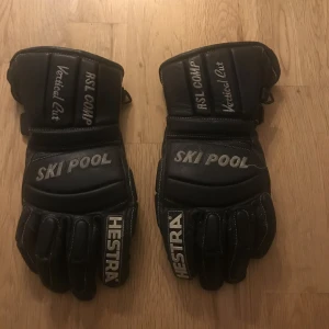 Hestra vantar - Säljer dessa hestra skidvantar använda 2-3 säsonger fint skick väldigt hållbara nypris ca 600