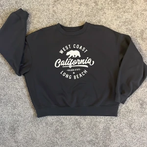 Sweatshirt  - Tröjan har en mörk färg av grå, mot det svarta hållet. Tröjan är använd men i mycket bra skick!!:)