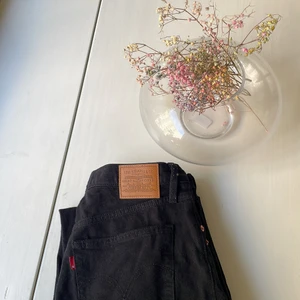 Levis jeans  - Levis jeans- W30 L27 ankelkorta byxor i Ribcage Straight