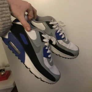 Air Max 90 - Nästan helt nya Air Max 39 i storlek 39! 