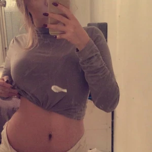 Grå turtleneck/polo - Super snygg grå tröja med polo/turtleneck från bikbok använd 1 gång. Obs Den är uppvikt på bilden så den är inte croppad! Frakt 45kr eller mötas upp