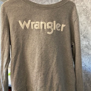 Wrangler sweatshirt  - Sweatshirt från Wrangler  Stl M  Köpt för 200kr, säljer för 50kr  Katt finns i hemmet!  Kan hämtas i Norra Åbyggeby (Gävle)eller fraktas emot fraktkostnad på 57kr. Endast swish!