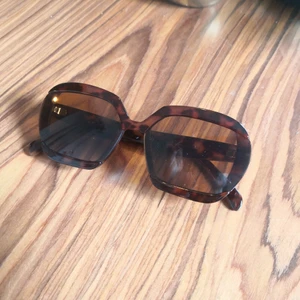 Solglasögon & Other Stories - Bruna solglasögon från & Other Stories. Endast provade, nyskick.