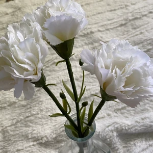 Plast blommor med glas vas - Jättefin inredning, ifrån Ikea. Köpare står för frakt 