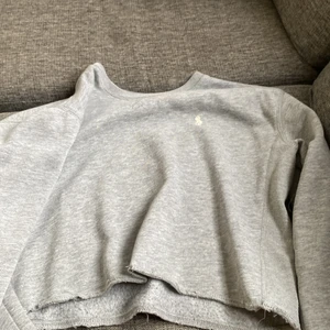 Hoddie  - Grå polo ralph lauren,den är klippt där nere 