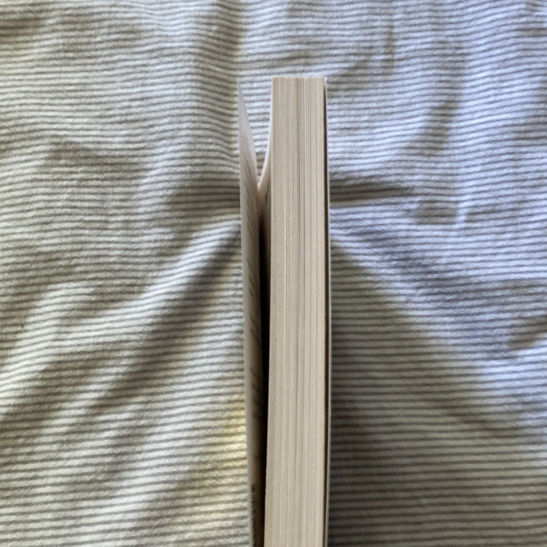 Looking for Alaska by John Green - 91