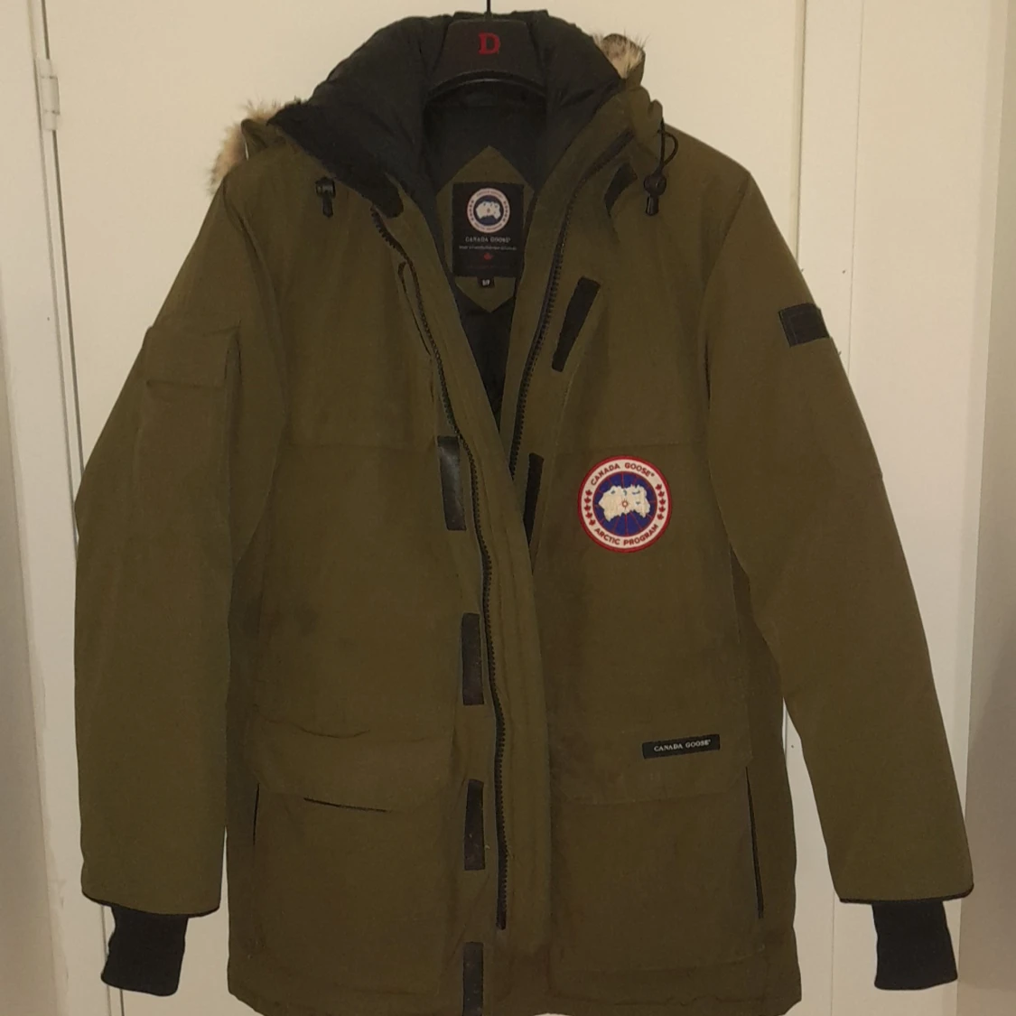 Canada goose arctic program 