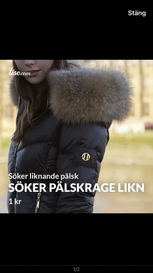 Söker liknande pälskrage  - Skriv bara om du har exakt den