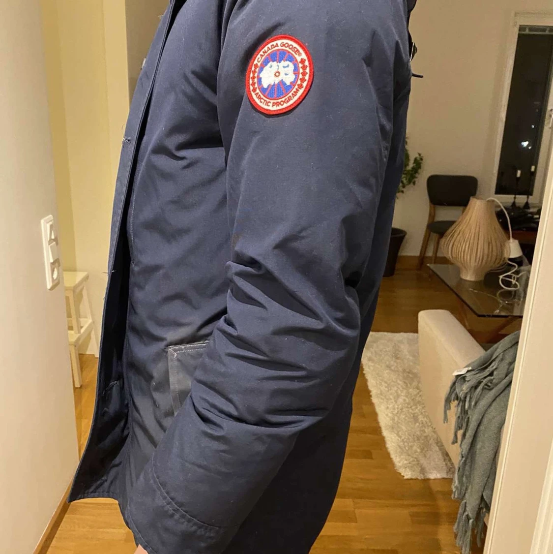 Canada goose  - 90