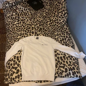 Champion hoodie - Det är en änkel champion hoodie, den är fortfarande i bra skick