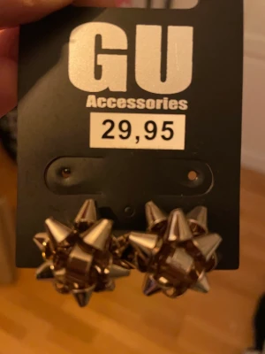 Örhängen  - Ett par guldiga örhängen dom är aldrig använda.