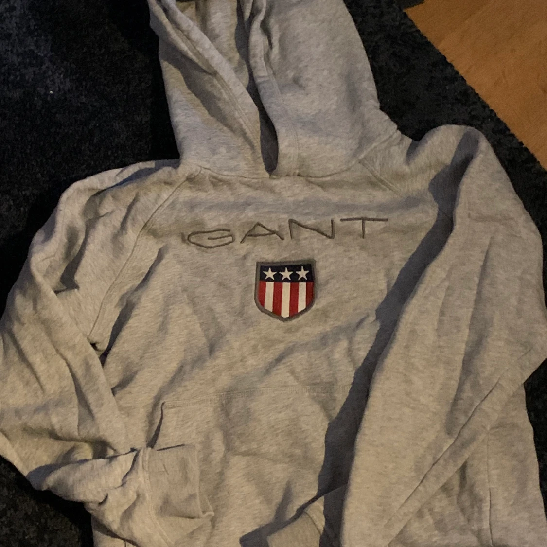 GANT hoodie