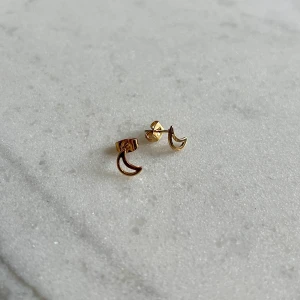 Örhängen måne - Säljer dessa gulliga örhängen med en liten måne. Tillverkade av metall och stål, samt ett ytterlager av zink. Har aldrig använts så är som i nyskick.