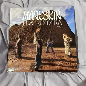 Måneskin vinyl, orange - Har spelat den en gång och sedan inte använt den. Leverans kostar 39 kr.