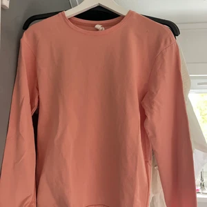 Långärmad tröja - Långärmad tröja i en jätte fin färg 