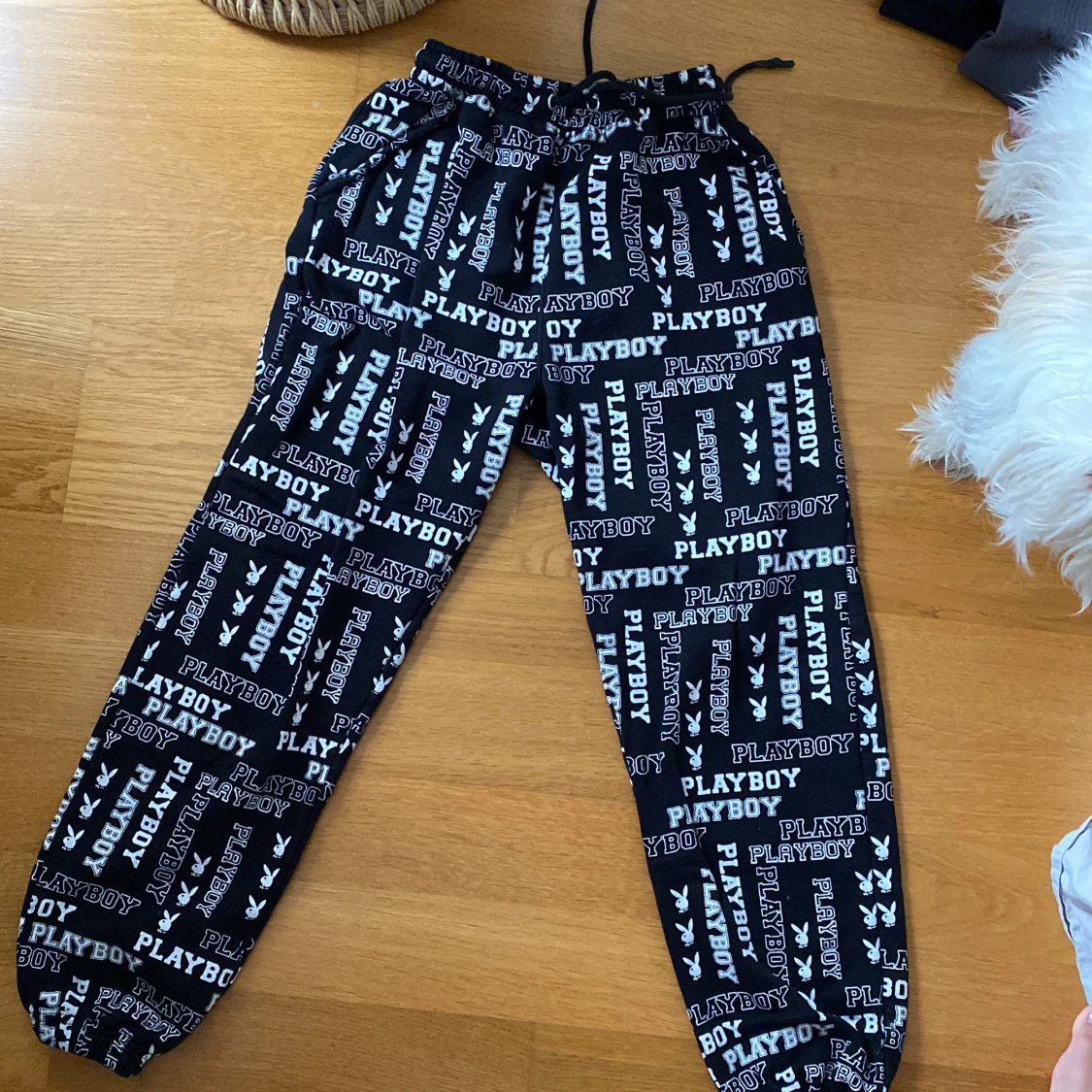 Missguided x playboy