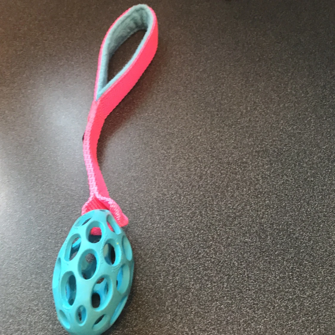  hundleksak+hundkex+godis för människor🐕‍🦺 - 90