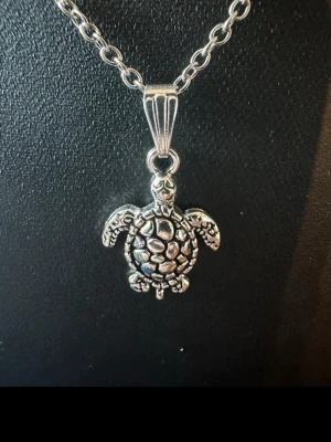Silverfärgat halsband med sköldpadda - Unikt halsband med en silverfärgad kedja och ett detaljerat sköldpaddshänge. Hänget har en cool struktur som liknar sköldpaddans skal och är tillverkat i metall. Perfekt för dig som gillar djurmotiv och vill ha något annorlunda.