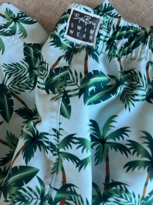 Björn Borg badbyxor med palmtryck - Snygga badbyxor från Björn Borg med tropiskt palmtryck i grönt och brunt på ljusblå botten. Modellen har resår i midjan och dragsko för bästa passform. Perfekta för stranden eller poolen, tillverkade i snabbtorkande material.