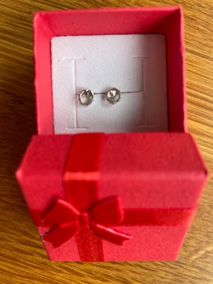 Snö örhängen i silverfärg, cirkelform - Små cirkelformade silverfärgade örhängen. Material okänt. Säljes utan den röda boxen. Nya och aldrig använda.