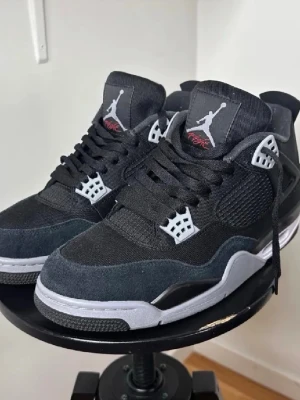 Jordan 4s  - Har haft på mig dem en gång. 