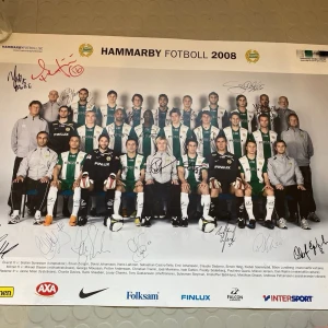Affisch Hammarby IF 2008 med autografer  - Plansch på Hamarbys lag 2008 med autografer