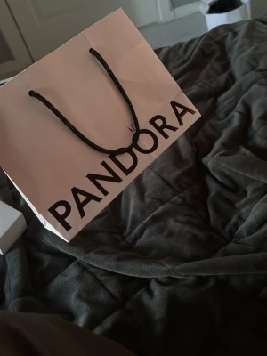 Pandora presentpåse i papper - Säljer en snygg presentpåse från Pandora i ljusrosa papper med svarta snören som handtag. Påsen har stor logga framtill och är perfekt för att ge bort smycken eller små presenter. Enkel och stilren design som känns lyxig.