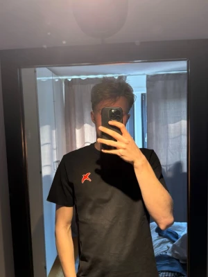 Svart T shirt från Axel Arigato - T shirten är i bra skick( använd ett par gånger) T shirten har inte några defekter och har en bra passform, storlek: M,: Modellen är 185 cm och väger 74 kg.