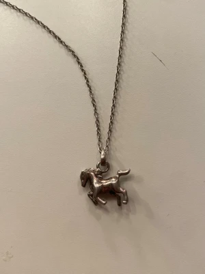 Silverfärgat halsband med hästberlock - Snyggt halsband i silverfärg med en detaljrik hästberlock. Kedjan är tunn och har ett klassiskt lås. Perfekt accessoar för dig som gillar hästar eller vill ha något unikt och stilrent runt halsen. Ej säker om äkta silver eller ej!