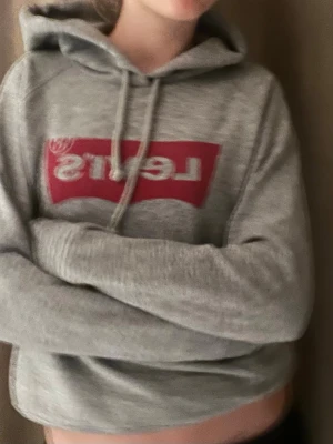 Levi's hoodie - Säljer en grå hoodie från Levi's med den klassiska röda loggan framtill. Hoodien har huva med dragsko och en stor magficka. Tillverkad i mjukt sweatshirtmaterial, perfekt för en avslappnad stil. 🩶❤️