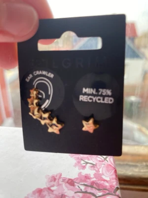 Guldiga stjärnörhängen från Pilgrim - Säljer ett par trendiga örhängen från Pilgrim i guldfärgad metall. Ena örhänget är en ear crawler med flera små stjärnor och det andra är en enkel stjärna. Tillverkade av minst 75% återvunnet material. Perfekt för dig som gillar unika detaljer och stjärnmotiv.