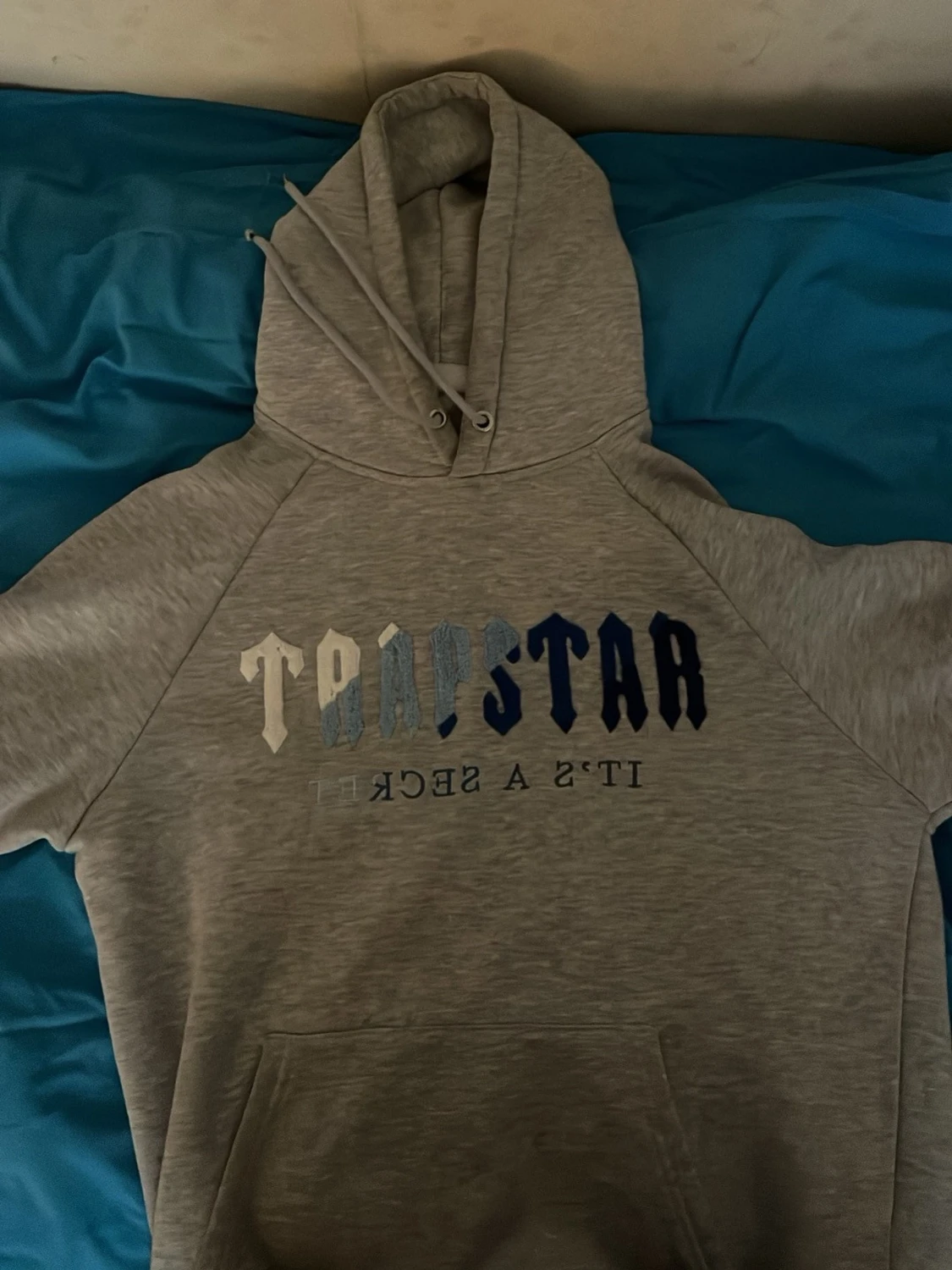 Grå TRAPSTAR hoodie med tryck